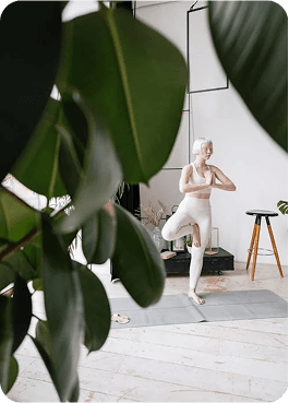 image-https://res.cloudinary.com/diiiehggm/image/upload/v1745232250/image_6_uyo4mj.png